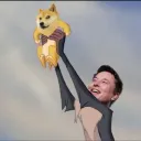 EZDOGE