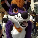 Brněnský furmeet server