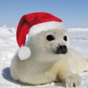 Seals United Discord server icon