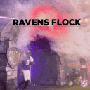 Ravens Flock