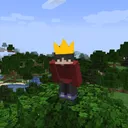 AceRoyalty__'s Server