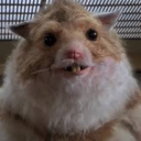 Scabbershire County Server Icon