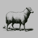 Shepherds' Guild