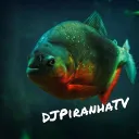 L'aquarium de DJPiranhaTV
