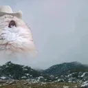 Nyaa's Community Server