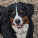 SittersNotQuitters Server Icon