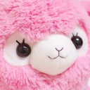 shitters Discord server icon