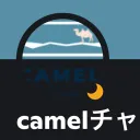 キャメルチャンネルのゲームサーバー