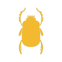 Dung Beetles