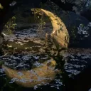 ✧✦ : ᴋᴀʟᴏᴘꜱɪᴀ