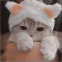 Glow Support