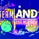 Axie NFT dude