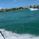 Floppa Island