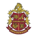 Unofficial Brookwood Highschool Server