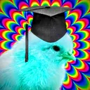🌈レインボーひよこゼミナール🐣