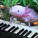 Axolotl Army (dead)