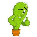 🌵 Kaktus  Cord 🌵