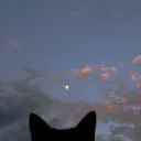 ~☆♡☆~
