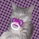 18+ Tri State Childfree Singles 18+ Server Icon