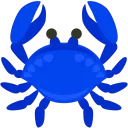 Derank.Co