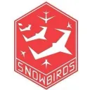 VRChat Snowbirds