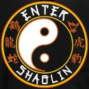 Shaolin Style