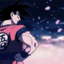 ✯ Complete Dragon Ball Clothing ✯