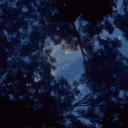 Mystical Meadow