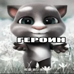 qwmbezed — мониторинг Discord сервера, статистика и рейтинг