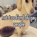 SEXcord ( old )