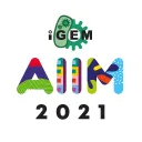All India iGEM Meet 2021