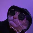 ₊˚⌇ʚ🍪꒱・ Bɪsᴄᴏᴏᴋɪᴇ
