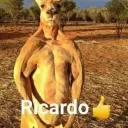 pinche server xd