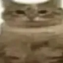 Lunity