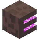 Endiversum