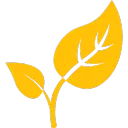 Thyme blockchain server (UNOFFICIAL)