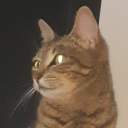 Dawg's party Server Icon