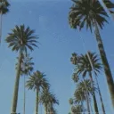 Beverly Hills Return