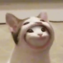 Sheeeeeeeeeeeeeeeeeeeesh