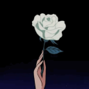 riptide Server Icon