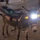 Delhi NCR e-Girl Hub sponsered by Deepankar ki second hand motorcycle