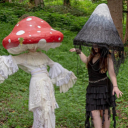 the forest 🦊🌲🍄
