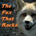 TheFox That Rocks