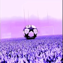 World Football C.F. ⚽🏆