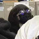 shitposts v3: would you believe it