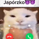 japorzko icon