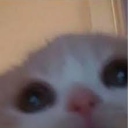 ur a virgin Discord server icon