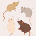 Rat Collective Discord Server Icon