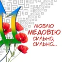 𝐌𝐞𝐝𝐨𝐯𝐢𝐲𝐚 Discord Server Icon