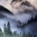 Salaistava Discord server icon